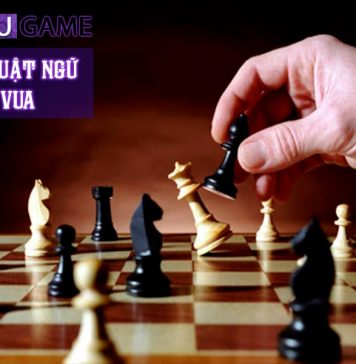 Các thuật ngữ trong Cờ Vua cần nắm rõ nếu muốn trở thành master